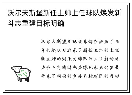 沃尔夫斯堡新任主帅上任球队焕发新斗志重建目标明确