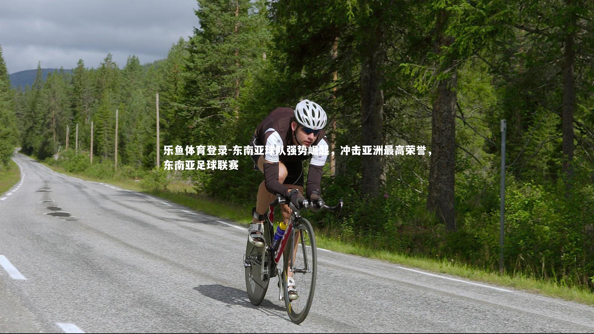 东南亚球队强势崛起,冲击亚洲最高荣誉,东南亚足球联赛