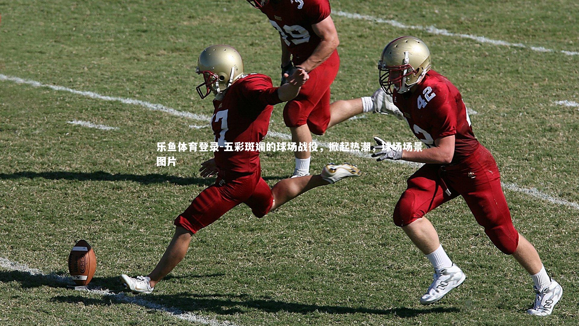 乐鱼体育登录-五彩斑斓的球场战役，掀起热潮，球场场景图片