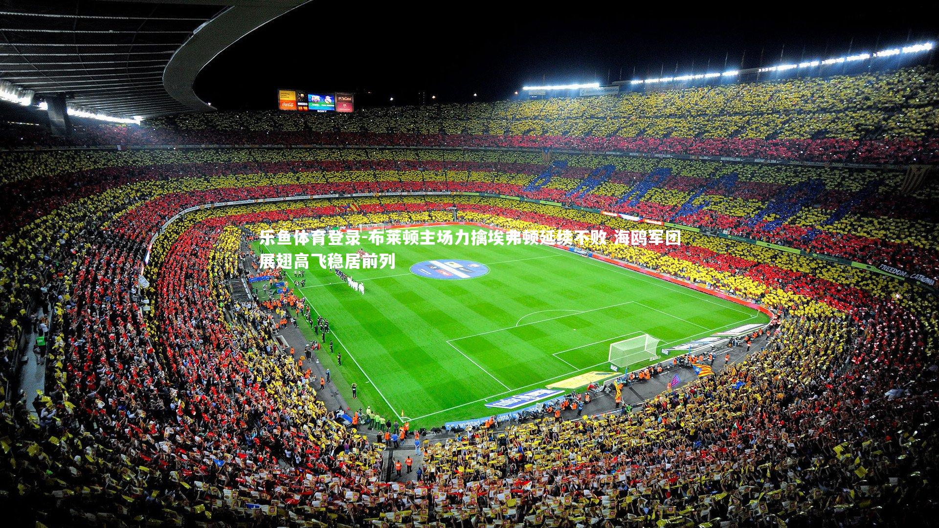 布莱顿主场力擒埃弗顿延续不败 海鸥军团展翅高飞稳居前列