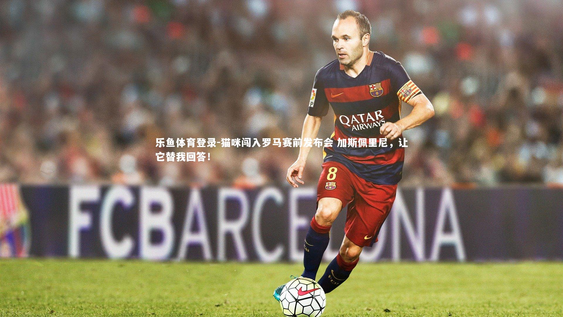 乐鱼体育登录-猫咪闯入罗马赛前发布会 加斯佩里尼，让它替我回答！