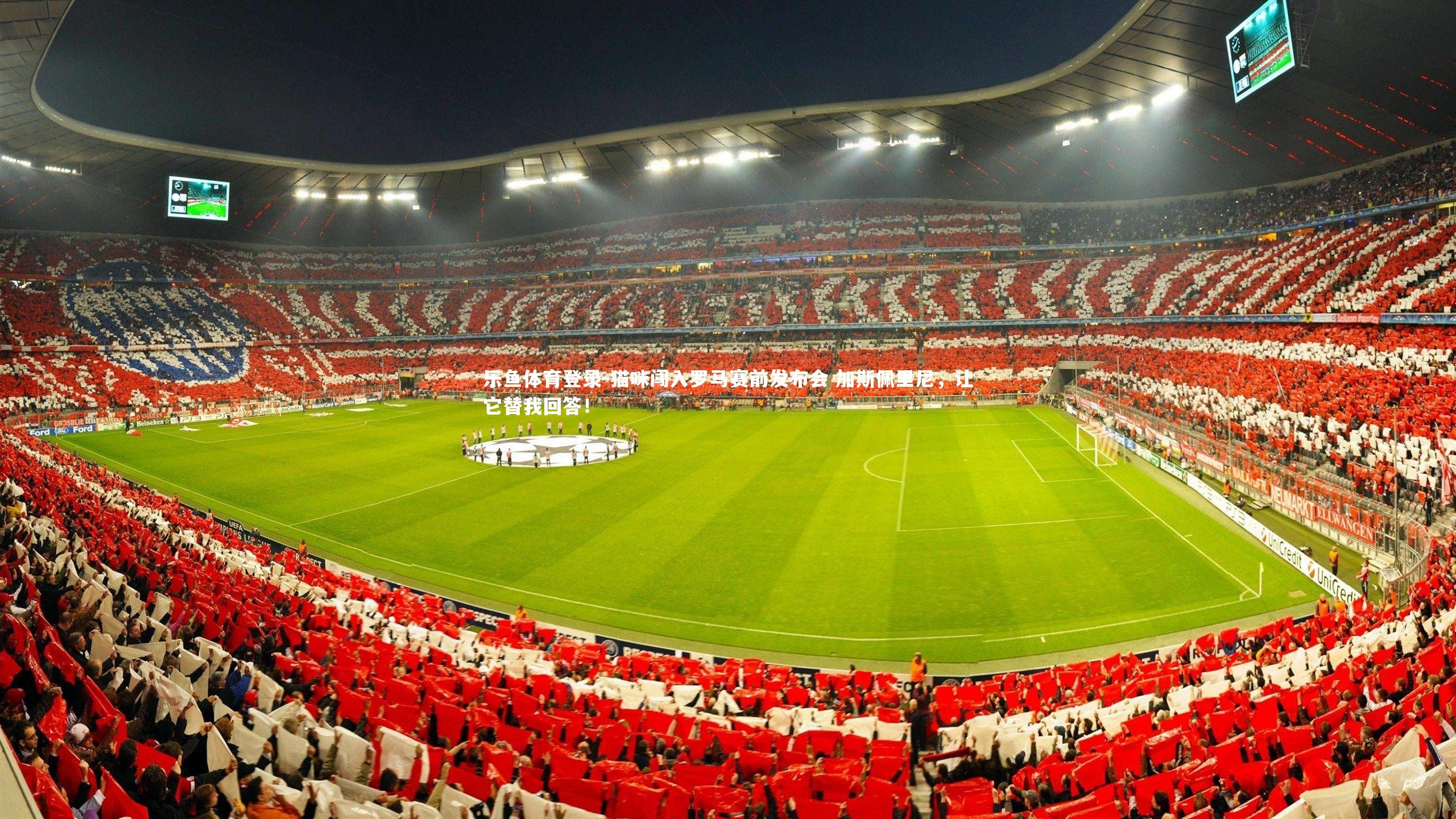 猫咪闯入罗马赛前发布会 加斯佩里尼，让它替我回答！